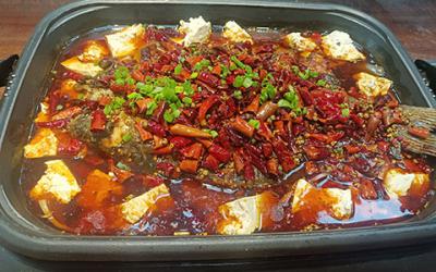 想学炭火锅烤鱼技术哪里有？