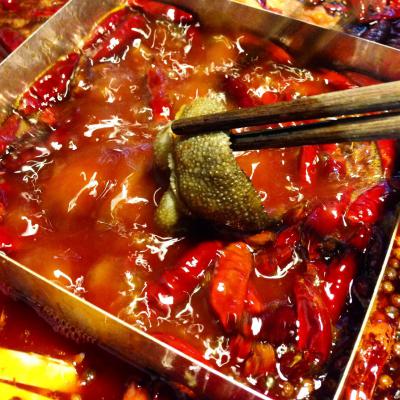 成都火锅培训多少钱？ 成都火锅培训多少钱？