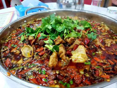 肥肠鱼火锅技术培训哪里比较好？