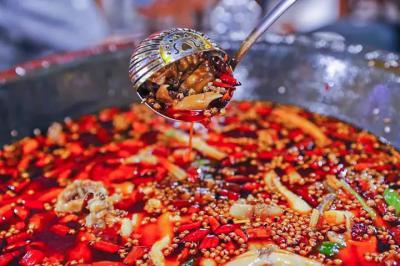 肥肠鱼火锅技术培训哪里比较好？