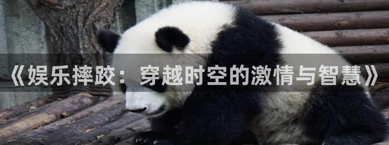 摩根娱乐：《娱乐摔跤：穿越时空的激情与智慧》