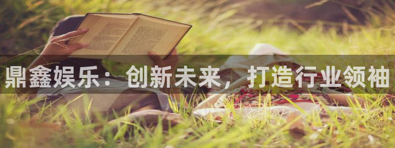 摩根娱乐：鼎鑫娱乐：创新未来，打造行业领袖