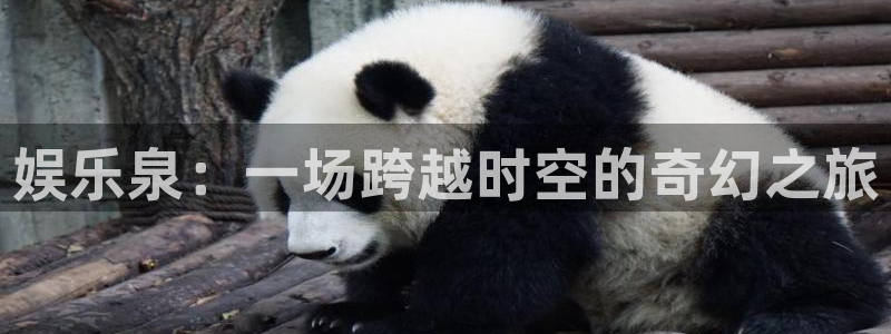 摩根娱乐：娱乐泉：一场跨越时空的奇幻之旅