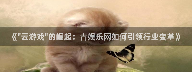 摩根娱乐：《\