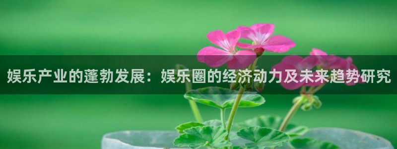 摩根娱乐：娱乐产业的蓬勃发展：娱乐圈的经济动力及未来趋势研究