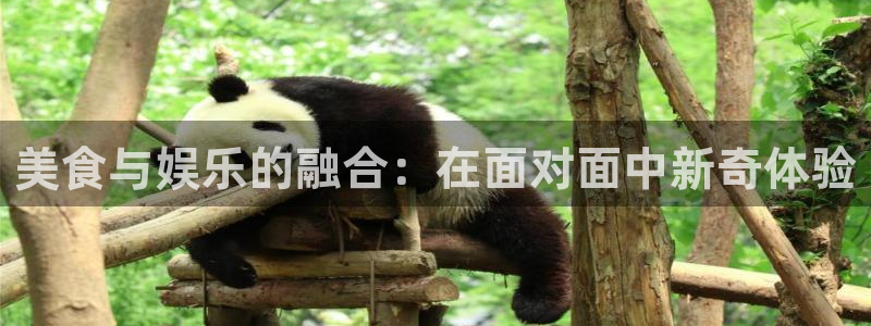 摩根娱乐：美食与娱乐的融合：在面对面中新奇体验