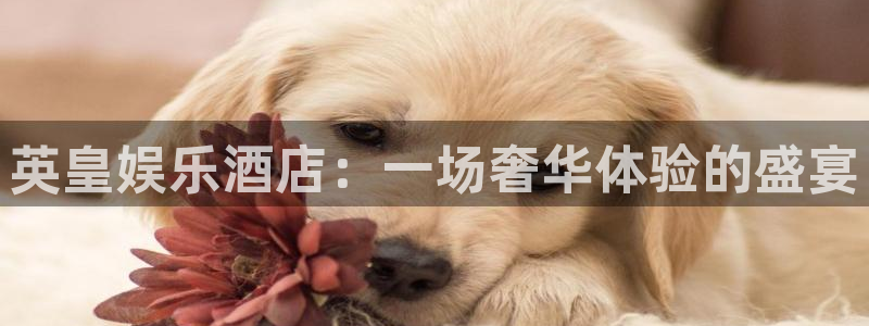 摩根娱乐：英皇娱乐酒店：一场奢华体验的盛宴