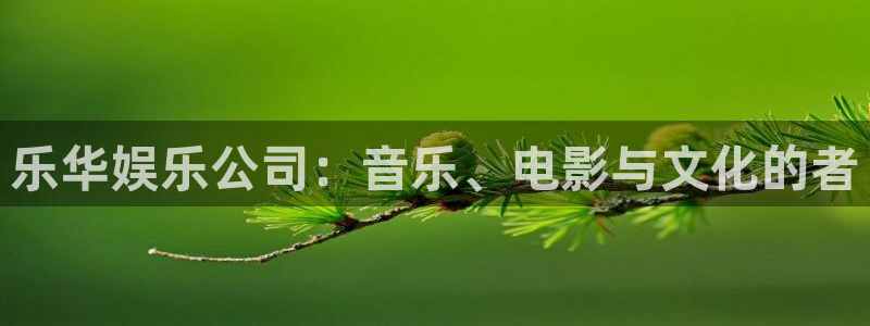 摩根娱乐：乐华娱乐公司：音乐、电影与文化的者