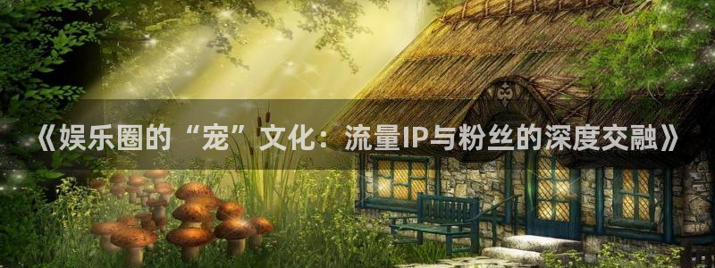 摩根娱乐：《娱乐圈的“宠”文化：流量IP与粉丝的深度交融》