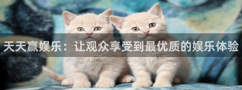 摩根娱乐：天天赢娱乐：让观众享受到最优质的娱乐体验