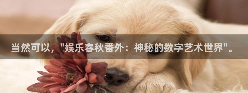 摩根娱乐：当然可以，\