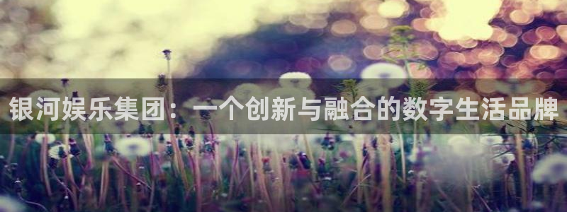 摩根娱乐：银河娱乐集团：一个创新与融合的数字生活品牌