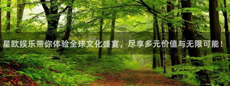 摩根娱乐：星欧娱乐带你体验全球文化盛宴，尽享多元价值与无限可能！