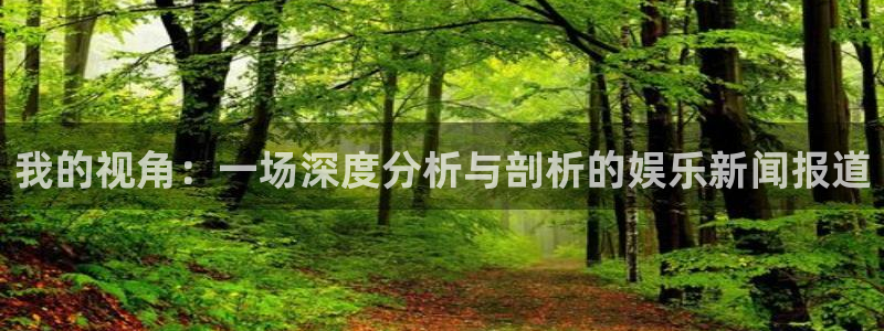 摩根娱乐：我的视角：一场深度分析与剖析的娱乐新闻报道