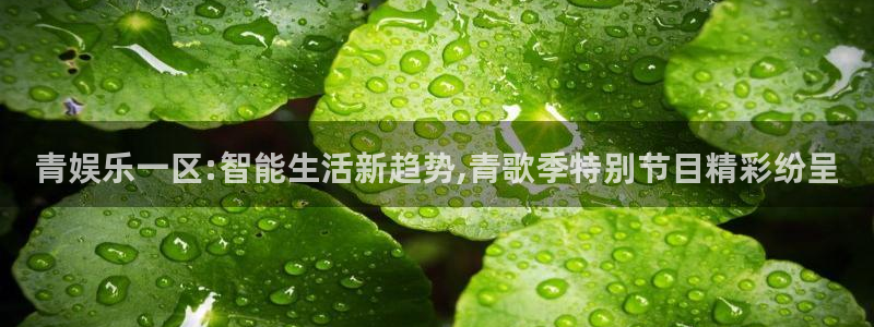 摩根娱乐：青娱乐一区:智能生活新趋势,青歌季特别节目精彩纷呈